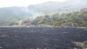 Kebakaran Lahan di Alun-alun Suryakancana Gunung Gede Pangrango Berhasil Dipadamkan